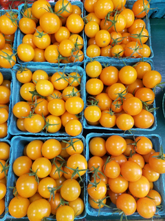 Tomato - Grape Orange (LOCAL)